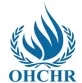 Office of the United Nations High Commissioner for Human Rights (OHCHR) - Youth4Rights Advisory Group 2026